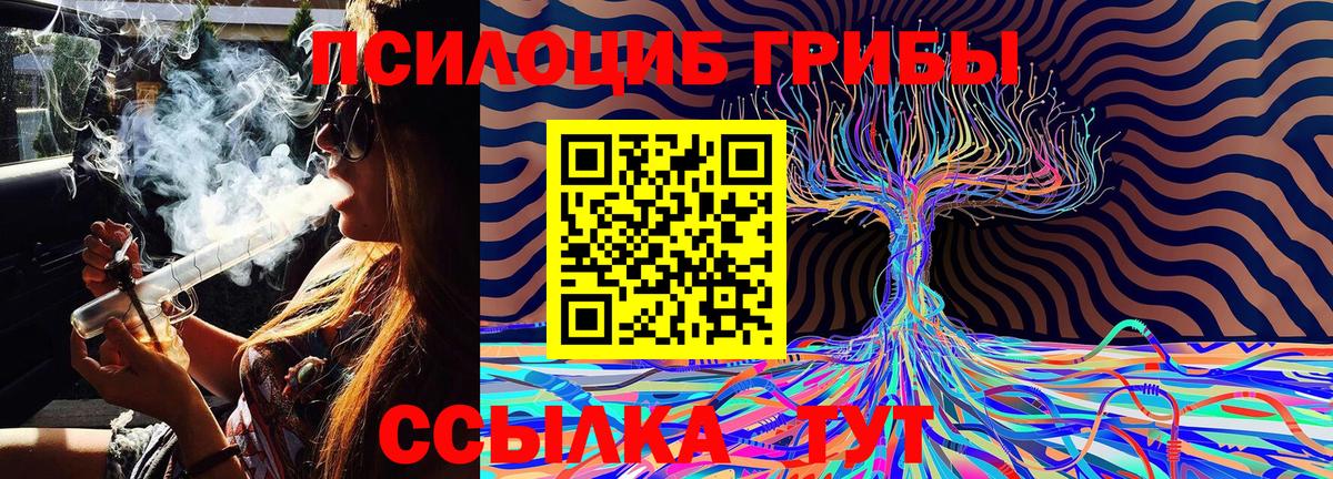 Псилоцибиновые грибы Magic Shrooms  Псилоцибиновые грибы мухоморы  Вход с VPN  Ставрополь 
